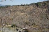 吉野・中千本の桜