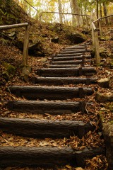 秋の山道1