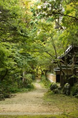 古い家屋のある景色