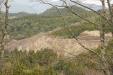 吉野・中千本の桜