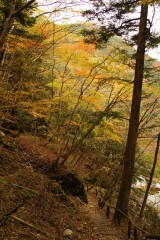 秋の山道2