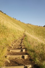 曽爾高原の山道