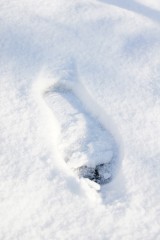 雪 足あと