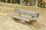 公園の木製ベンチ