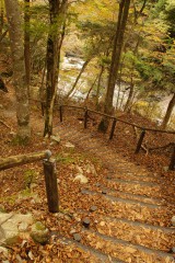 秋の山道3