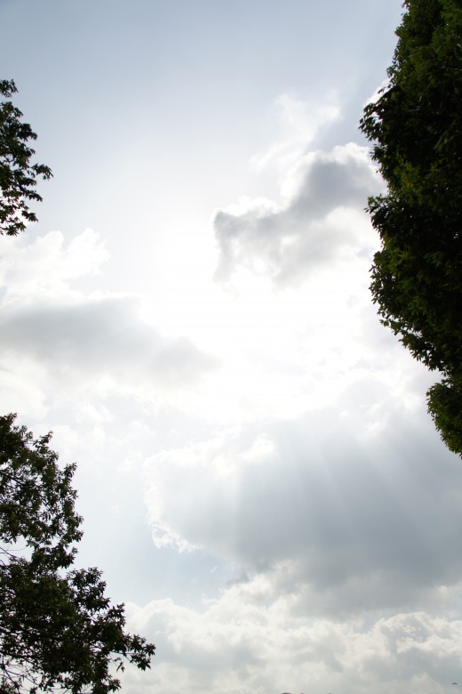 森の上空・太陽光