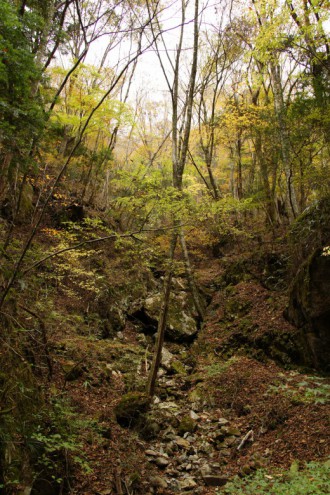 秋の山