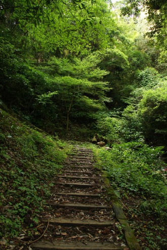 山中の階段