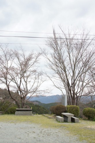 吉野・中千本の桜