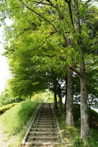 公園の散歩道・階段1