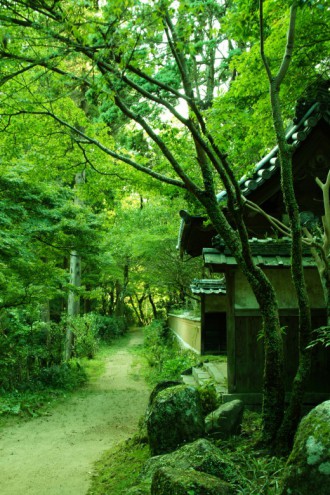 古い家屋のある景色（緑強調）