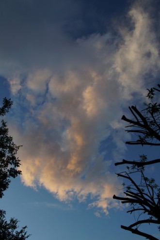 朝方の曇り空