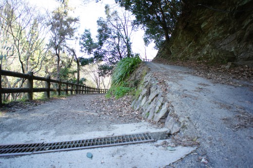 吉野・中千本