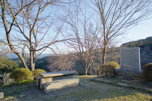 吉野・中千本の桜