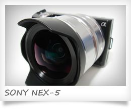 SONY NEX-5